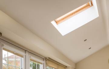 Plusterwine conservatory roof insulation companies