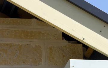 soffit repair Plusterwine